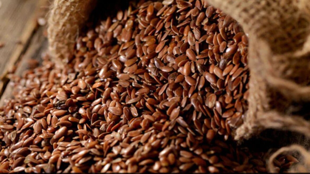 Flax Seeds: Like nectar for health, know the benefits of these seeds rich in Omega-3 and fiber